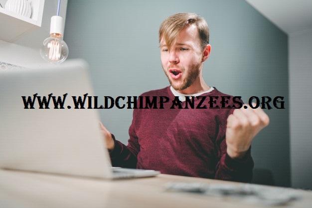 Bonus Besar Dalam Situs Judi Kartu Online Terpercaya Di Indonesia